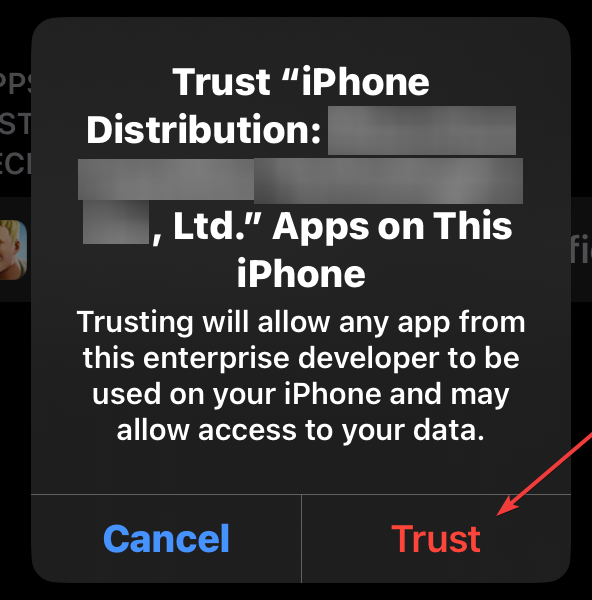 iOS confirmation dialog to verify and trust the enterprise app