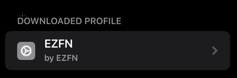 VPN and Device Management page showing the downloaded EZFN profile
