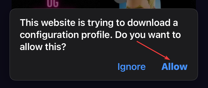 iOS dialog prompting to allow the DNS profile download